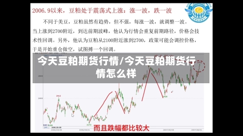 今天豆粕期货行情/今天豆粕期货行情怎么样