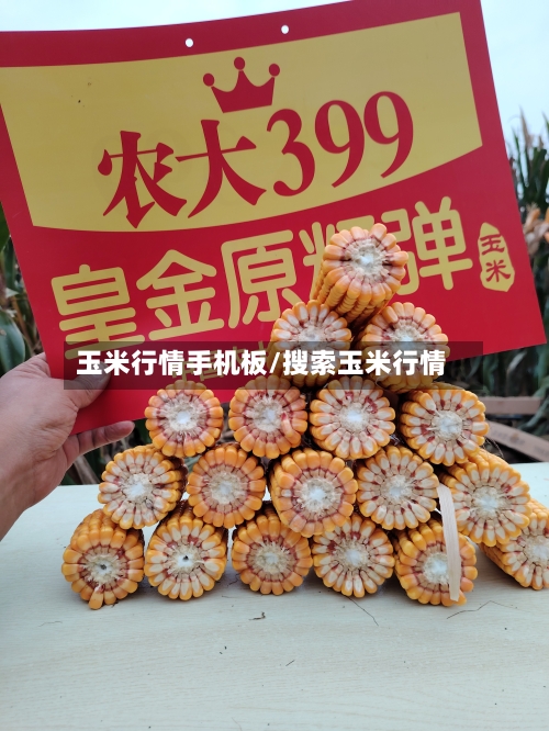 玉米行情手机板/搜索玉米行情