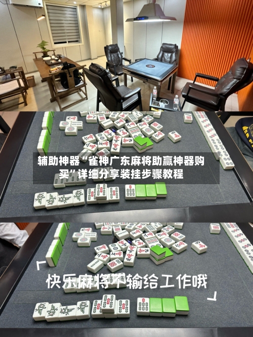 辅助神器“雀神广东麻将助赢神器购买”详细分享装挂步骤教程-第2张图片