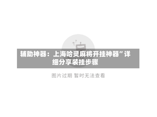 辅助神器：上海哈灵麻将开挂神器”详细分享装挂步骤-第2张图片