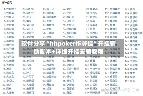 软件分享“hhpoker作弊挂”开挂辅助脚本+详细开挂安装教程