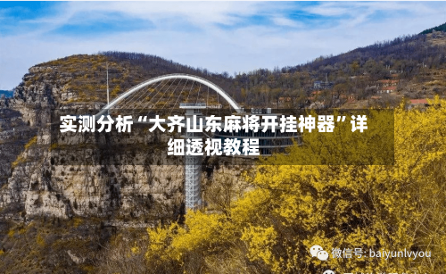 实测分析“大齐山东麻将开挂神器”详细透视教程-第2张图片