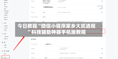 今日教程“微信小程序家乡大贰透视”科技辅助神器手机版教程