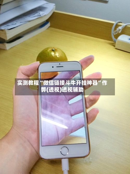 实测教程“微信链接斗牛开挂神器”作弊(透视)透视辅助