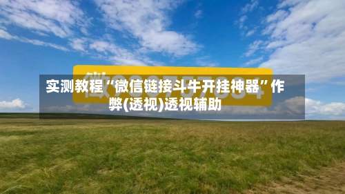 实测教程“微信链接斗牛开挂神器”作弊(透视)透视辅助-第2张图片