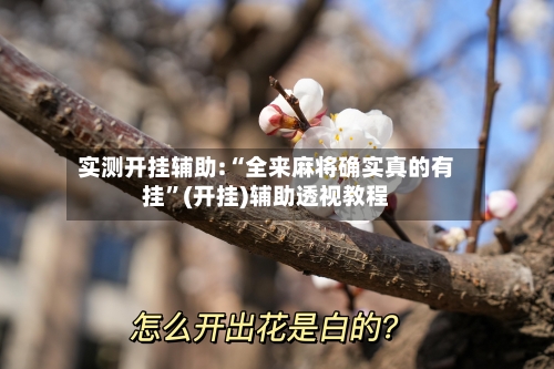 实测开挂辅助:“全来麻将确实真的有挂”(开挂)辅助透视教程-第2张图片