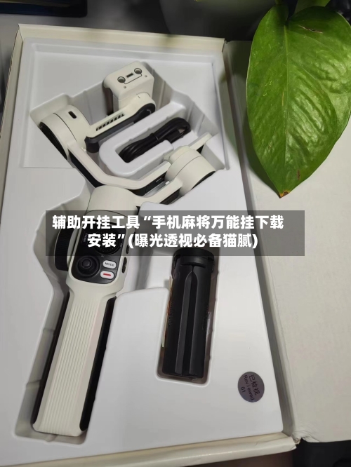 辅助开挂工具“手机麻将万能挂下载安装”(曝光透视必备猫腻)-第2张图片
