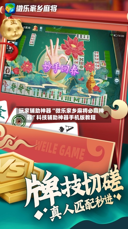 玩家辅助神器“微乐家乡麻将必赢神器”科技辅助神器手机版教程-第3张图片