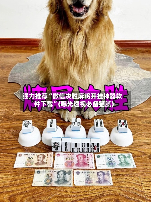 强力推荐“微信决胜麻将开挂神器软件下载”(曝光透视必备猫腻)-第2张图片