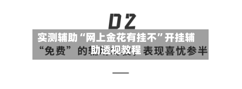 实测辅助“网上金花有挂不”开挂辅助透视教程-第3张图片