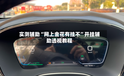 实测辅助“网上金花有挂不”开挂辅助透视教程-第2张图片