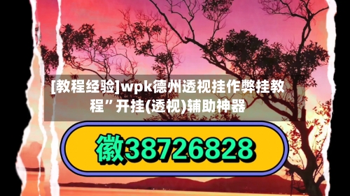 [教程经验]wpk德州透视挂作弊挂教程”开挂(透视)辅助神器-第3张图片