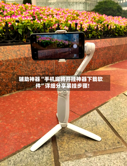 辅助神器“手机麻将开挂神器下载软件”详细分享装挂步骤!-第2张图片