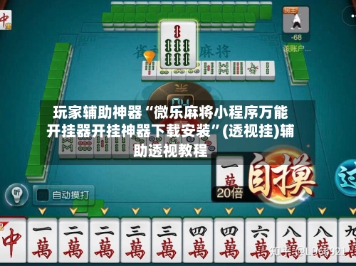 玩家辅助神器“微乐麻将小程序万能开挂器开挂神器下载安装”(透视挂)辅助透视教程-第2张图片