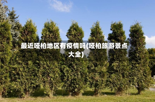 最近哑柏地区有疫情吗(哑柏旅游景点大全)