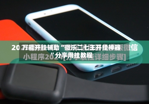 万能开挂辅助“微乐二七王开挂神器”分享用挂教程-第2张图片