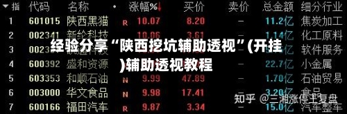 经验分享“陕西挖坑辅助透视”(开挂)辅助透视教程-第3张图片