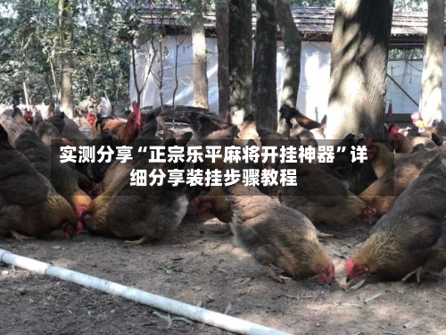 实测分享“正宗乐平麻将开挂神器	”详细分享装挂步骤教程-第2张图片
