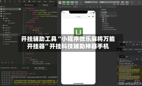 开挂辅助工具“小程序微乐麻将万能开挂器”开挂科技辅助神器手机-第2张图片