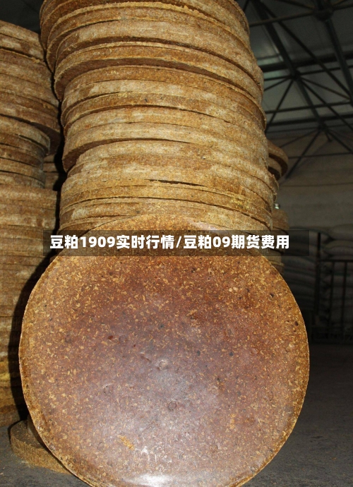 豆粕1909实时行情/豆粕09期货费用-第2张图片