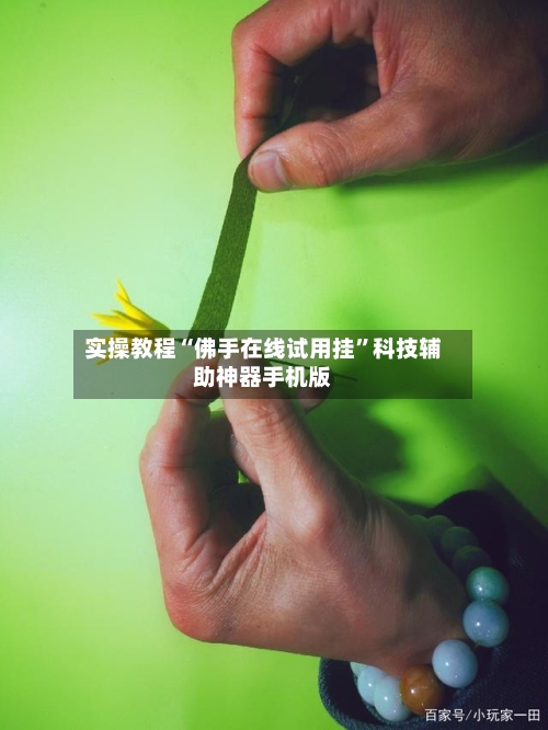 实操教程“佛手在线试用挂”科技辅助神器手机版