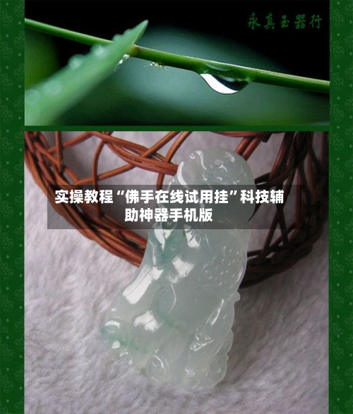 实操教程“佛手在线试用挂	”科技辅助神器手机版-第2张图片