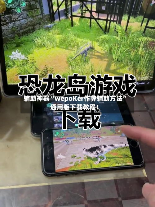 辅助神器“wepoKer作弊辅助方法”通用版下载教程！