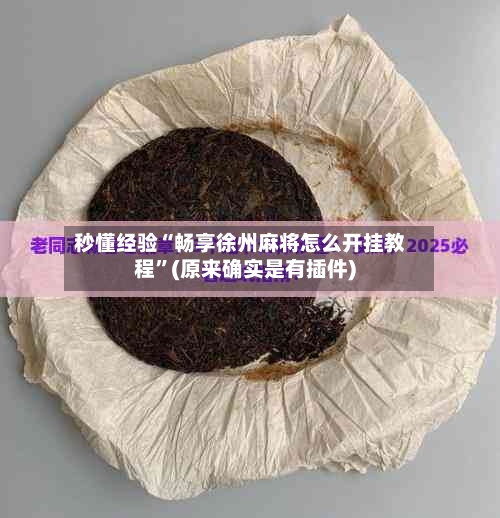 秒懂经验“畅享徐州麻将怎么开挂教程”(原来确实是有插件)-第2张图片