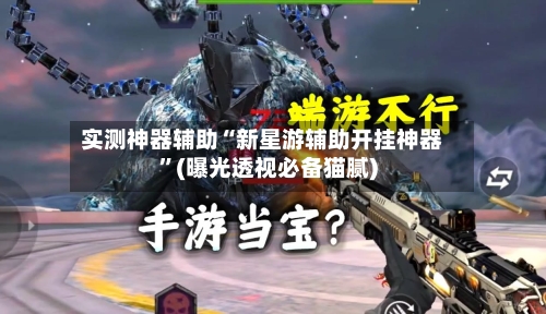 实测神器辅助“新星游辅助开挂神器”(曝光透视必备猫腻)-第2张图片