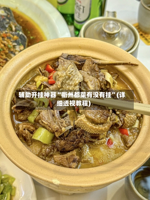 辅助开挂神器“衢州都菜有没有挂”(详细透视教程)-第2张图片