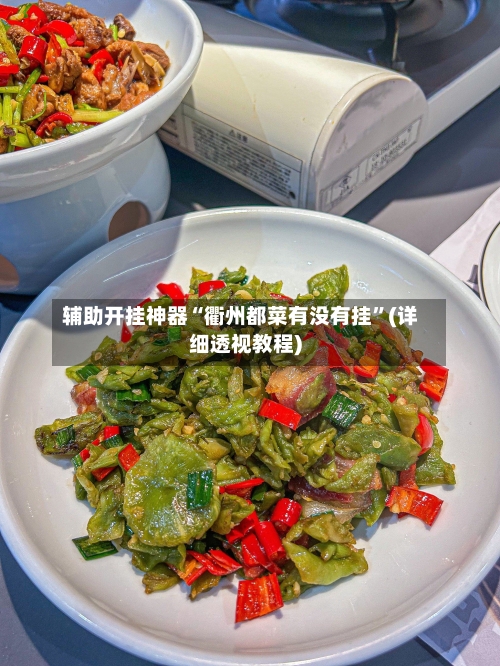 辅助开挂神器“衢州都菜有没有挂”(详细透视教程)-第3张图片