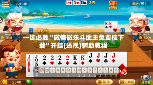 一键必胜“微信微乐斗地主免费挂下载”开挂(透视)辅助教程-第3张图片