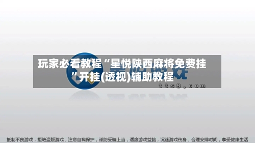 玩家必看教程“星悦陕西麻将免费挂	”开挂(透视)辅助教程-第3张图片
