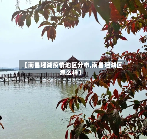 【南昌瑶湖疫情地区分布,南昌瑶湖区怎么样】-第3张图片