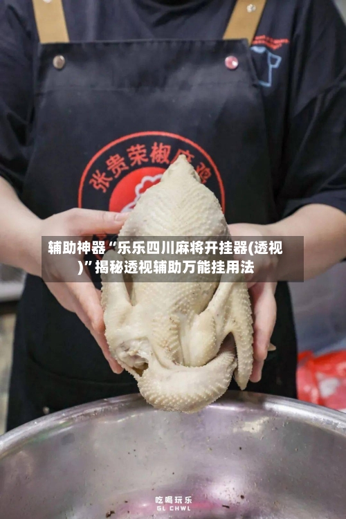 辅助神器“乐乐四川麻将开挂器(透视)	”揭秘透视辅助万能挂用法-第2张图片