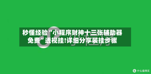 秒懂经验“小程序财神十三张辅助器免费”透视挂!详细分享装挂步骤-第3张图片