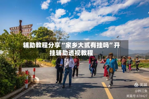 辅助教程分享“家乡大贰有挂吗”开挂辅助透视教程-第2张图片