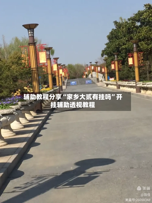 辅助教程分享“家乡大贰有挂吗”开挂辅助透视教程-第3张图片