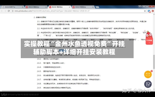 实操教程“金州水鱼透视免费”开挂辅助脚本+详细开挂安装教程-第2张图片