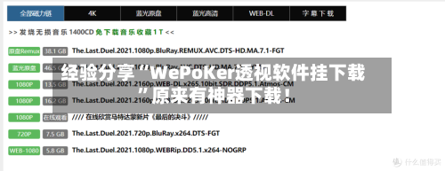 经验分享“WePoKer透视软件挂下载”原来有神器下载！