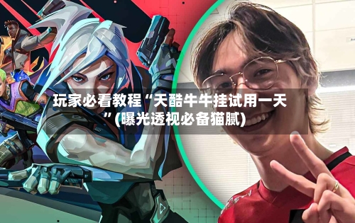 玩家必看教程“天酷牛牛挂试用一天”(曝光透视必备猫腻)-第3张图片