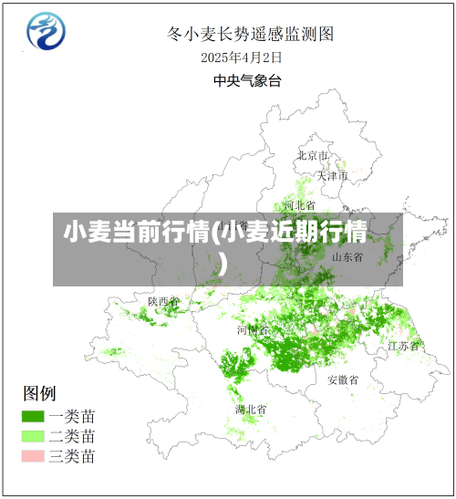 小麦当前行情(小麦近期行情)