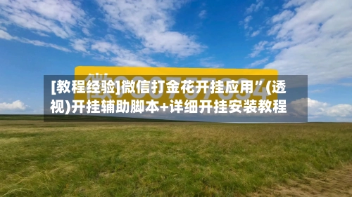 [教程经验]微信打金花开挂应用	”(透视)开挂辅助脚本+详细开挂安装教程-第2张图片