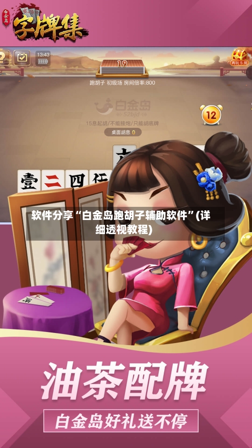 软件分享“白金岛跑胡子辅助软件”(详细透视教程)