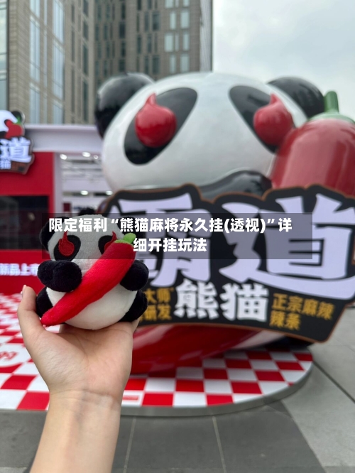限定福利“熊猫麻将永久挂(透视)”详细开挂玩法