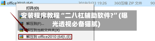 安装程序教程“二八杠辅助软件?”(曝光透视必备猫腻)