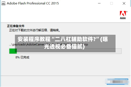安装程序教程“二八杠辅助软件?”(曝光透视必备猫腻)-第2张图片