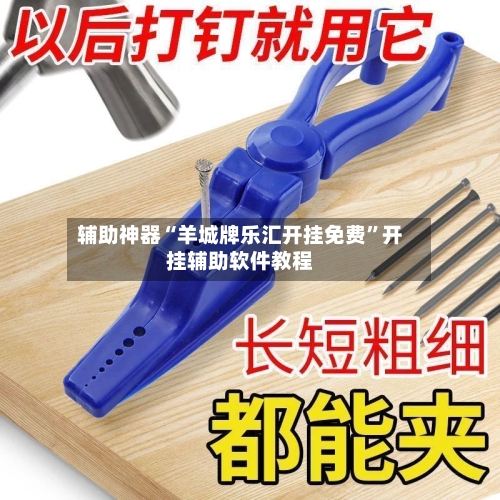 辅助神器“羊城牌乐汇开挂免费”开挂辅助软件教程