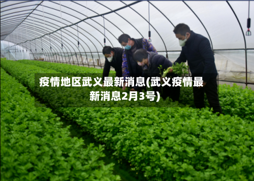 疫情地区武义最新消息(武义疫情最新消息2月3号)-第2张图片