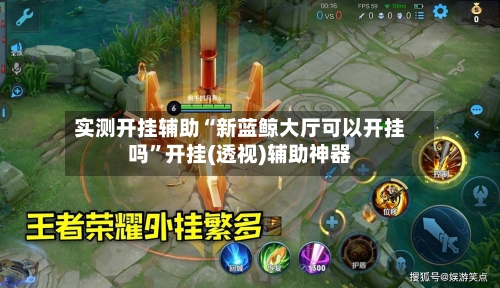 实测开挂辅助“新蓝鲸大厅可以开挂吗”开挂(透视)辅助神器-第3张图片